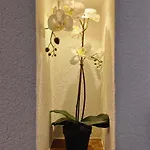 Fewo's Und Apartment's Schoeneck