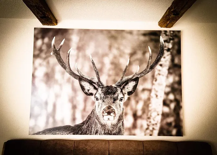 Fewo's Und Apartment's Schoeneck